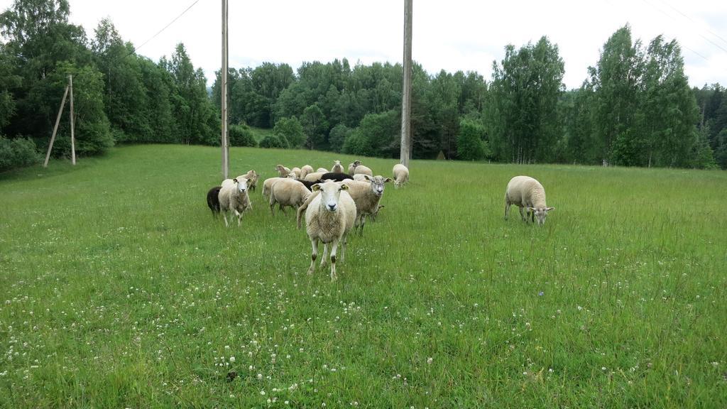 Villa Maee Farm Rõuge Exterior foto
